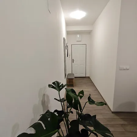 Center 2 Loznice Balkon ブルノ
